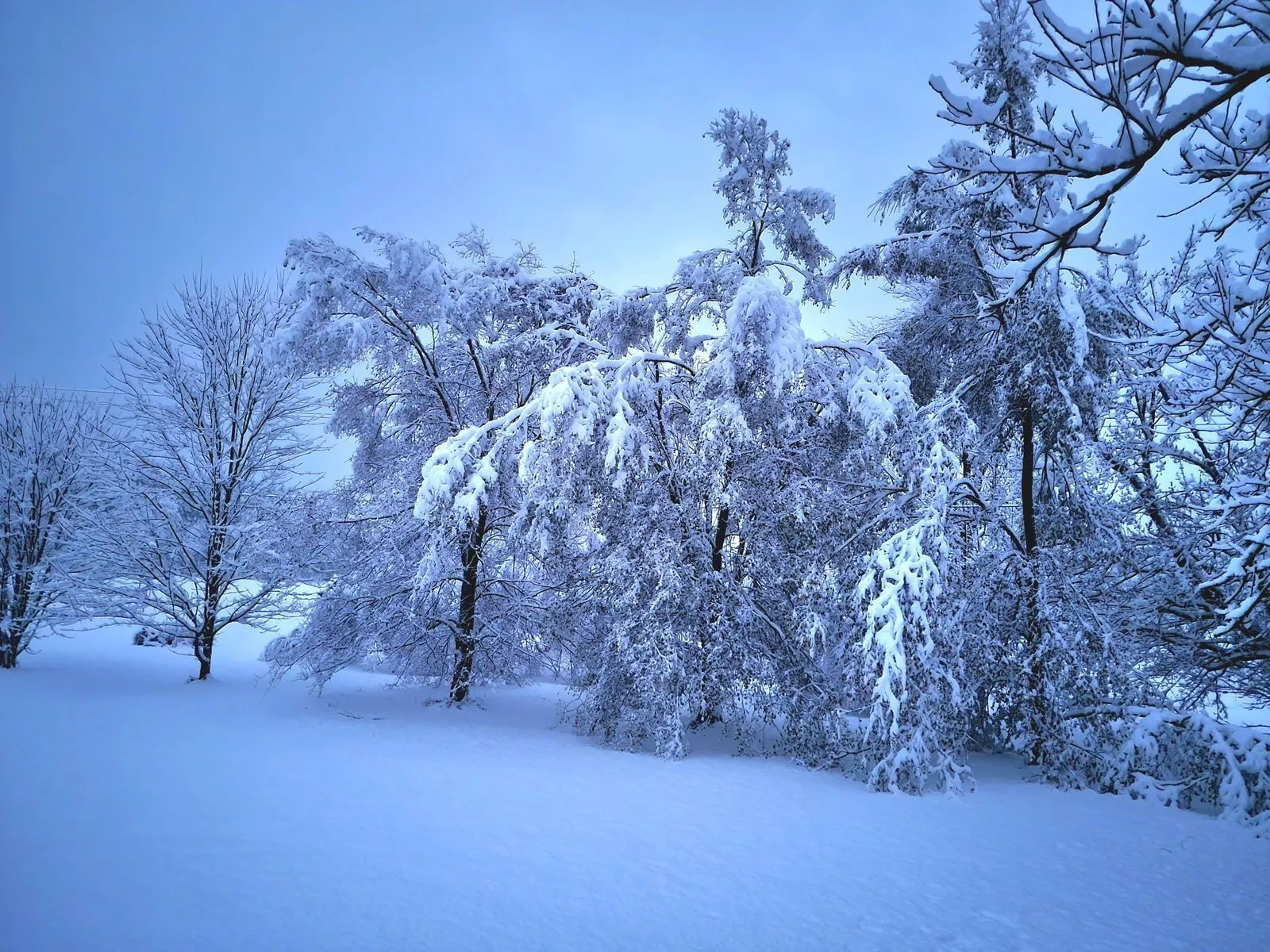 Seeing snow outside your window? Send