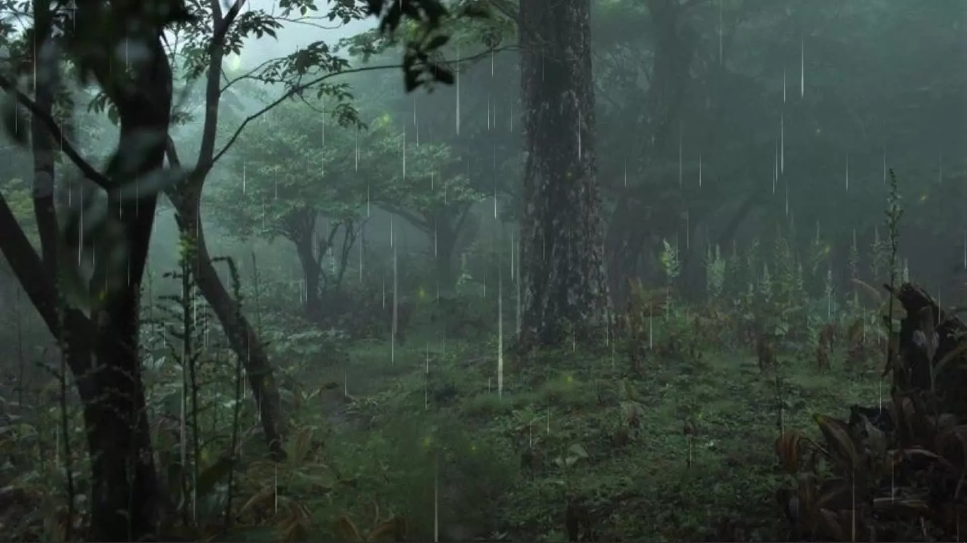 Grunge Live Wallpaper and More