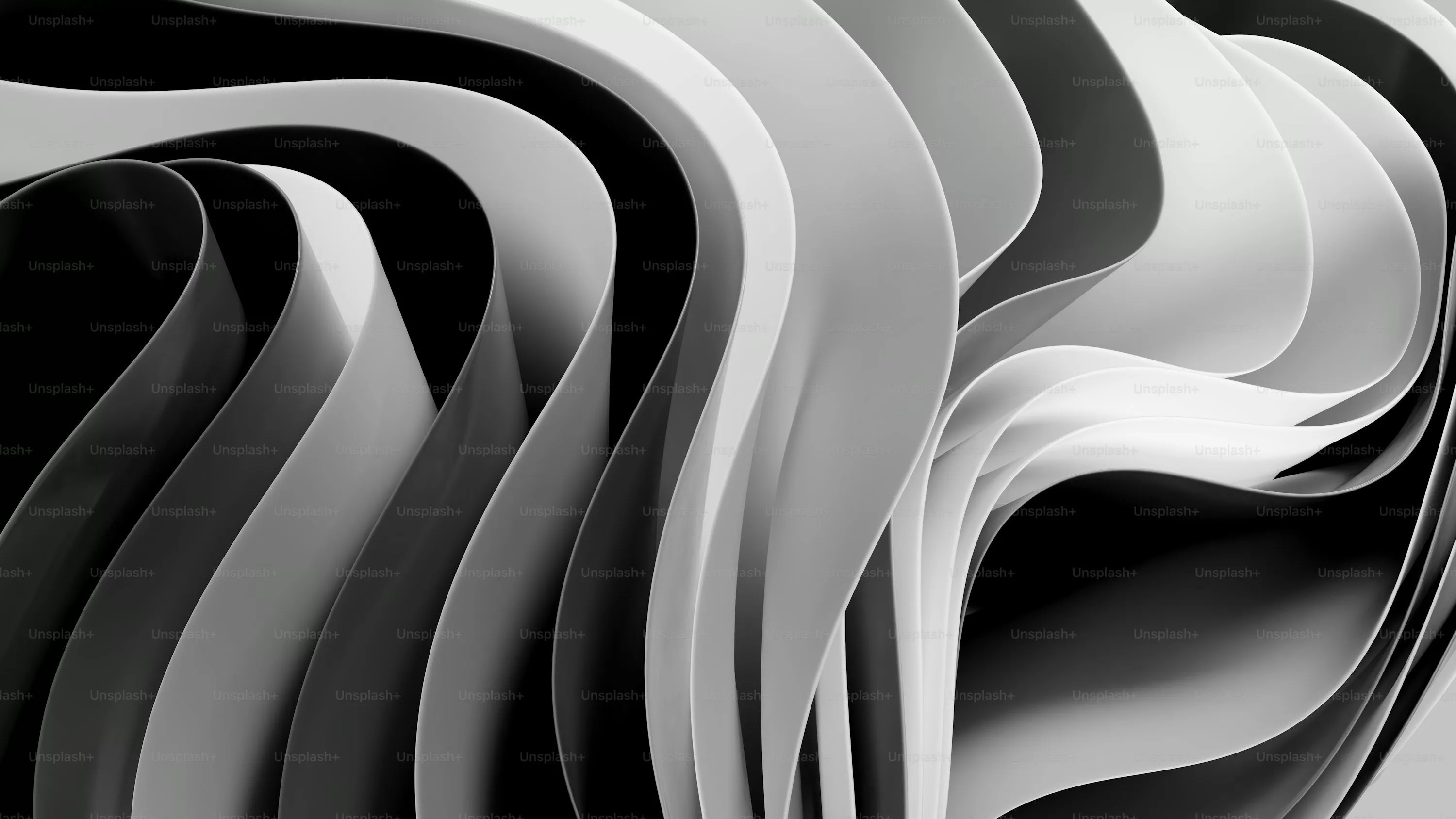 Black And White Wallpaper: Free HD