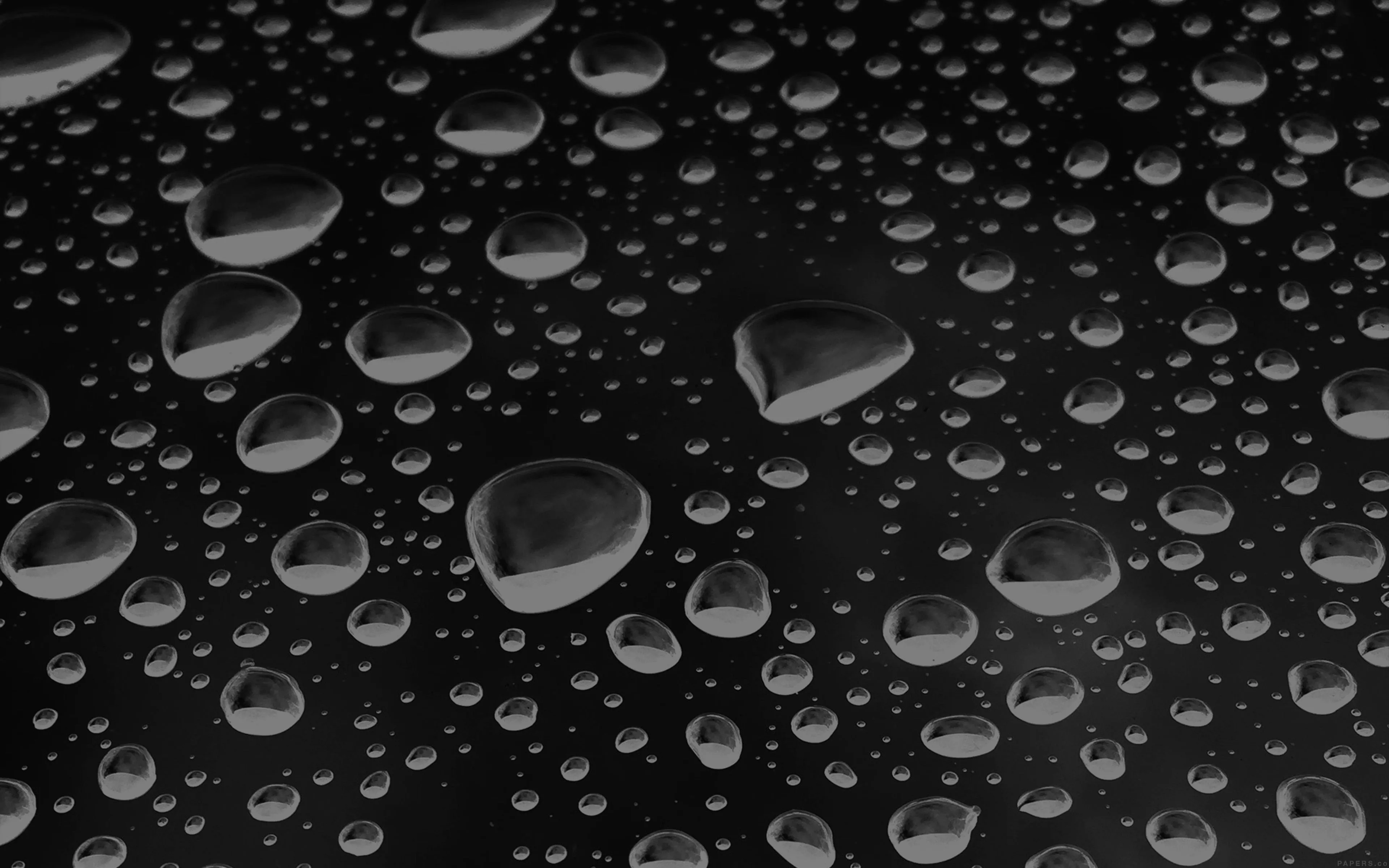 Rain Drops Black Bw Water Pattern