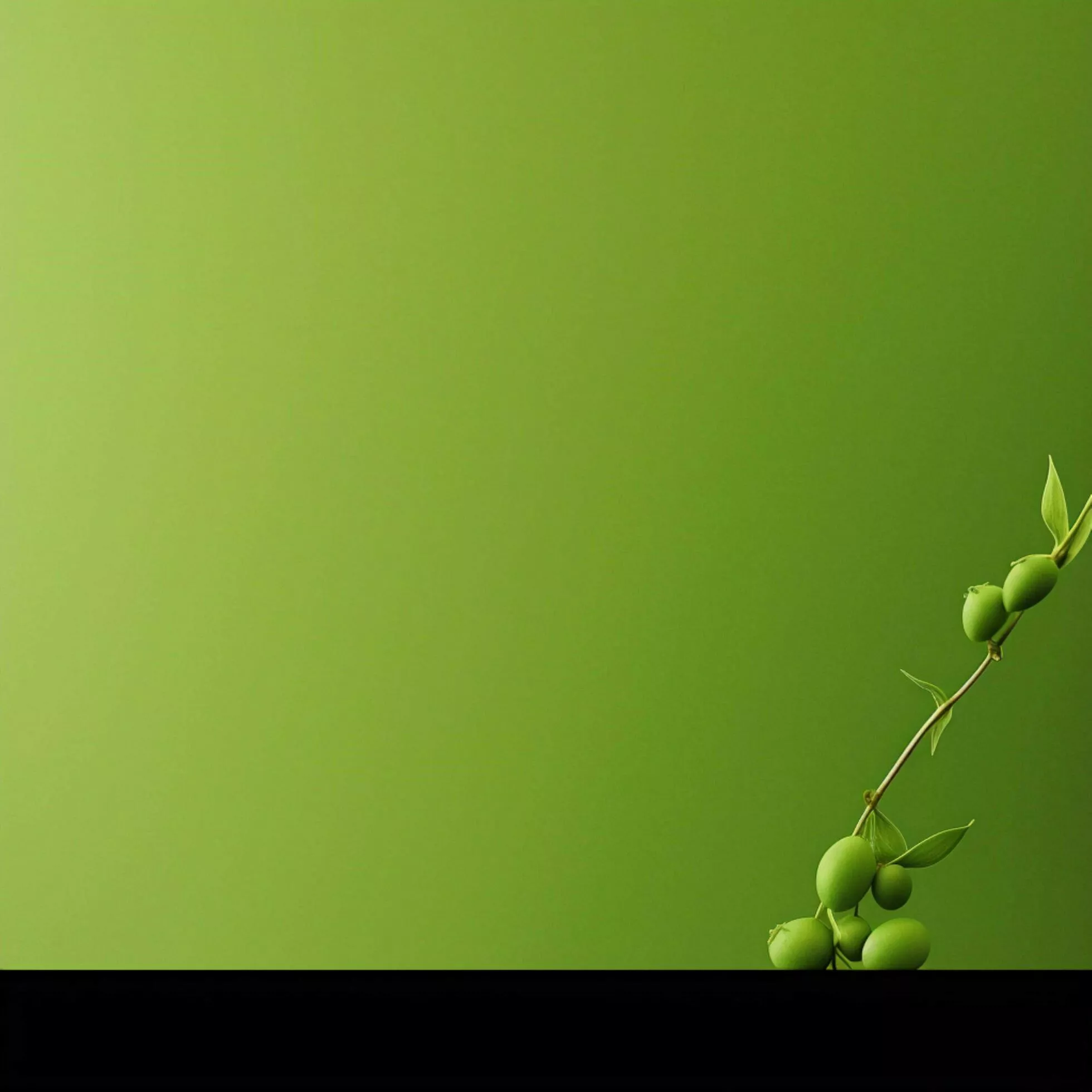 pea green Minimalist wallpaper high