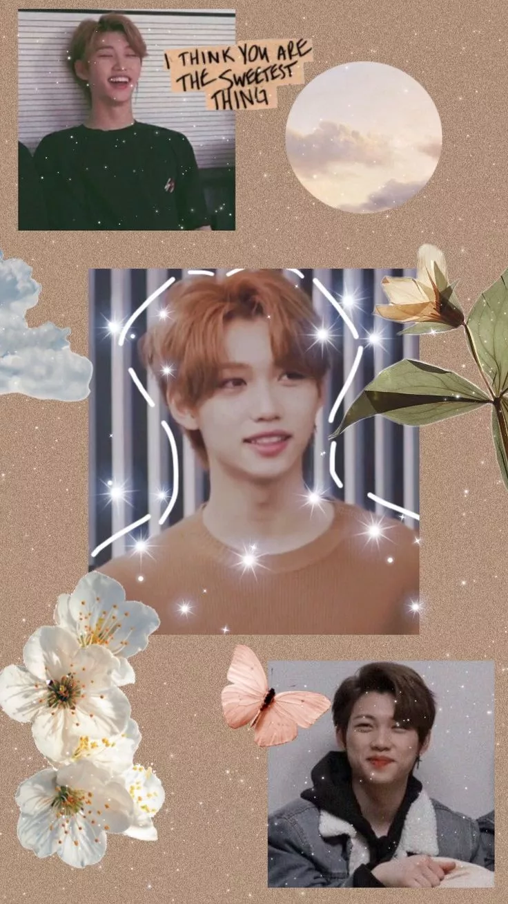 Lee Felix wallpaper stray kids
