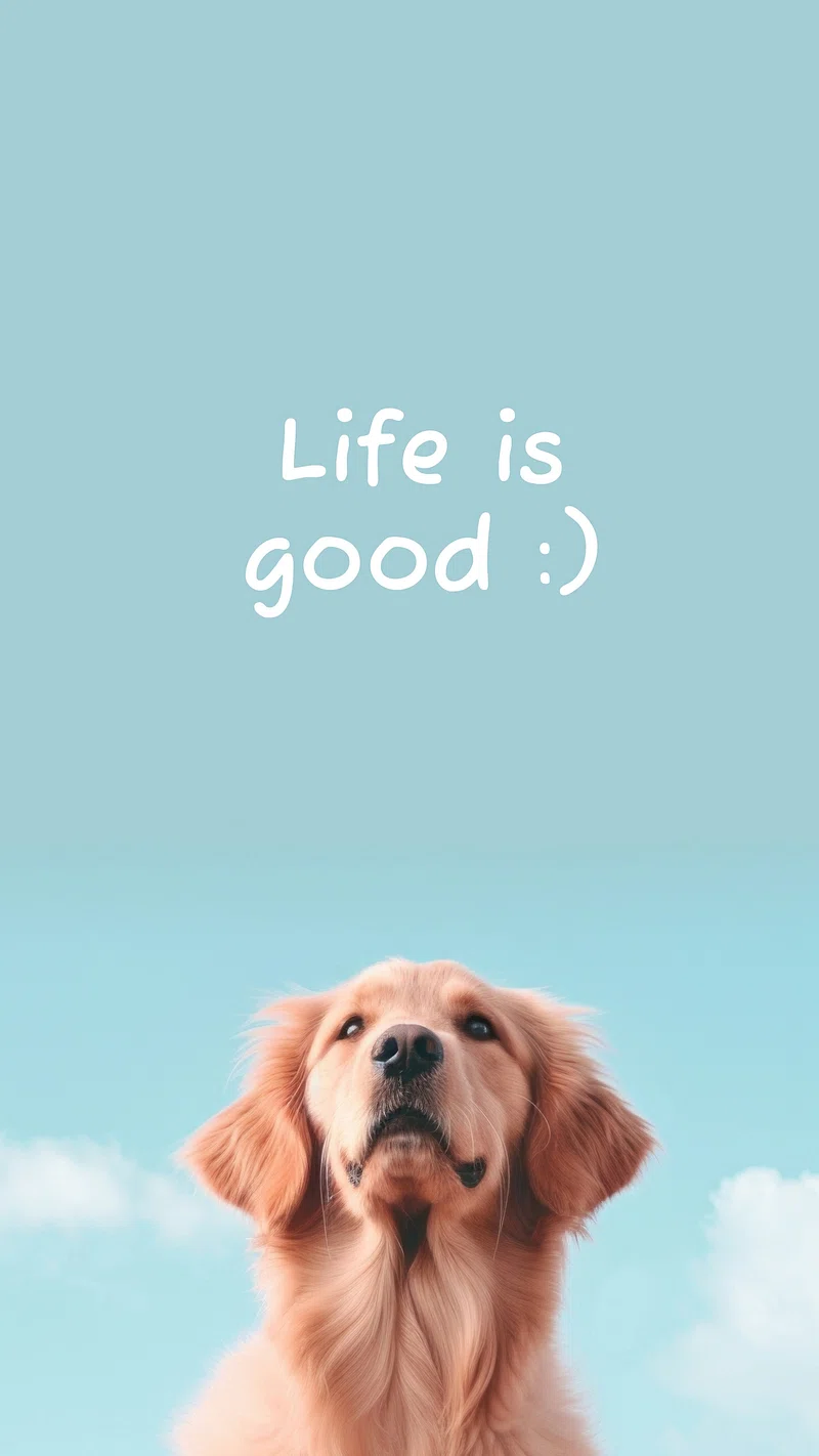 Golden Retriever Wallpaper Image
