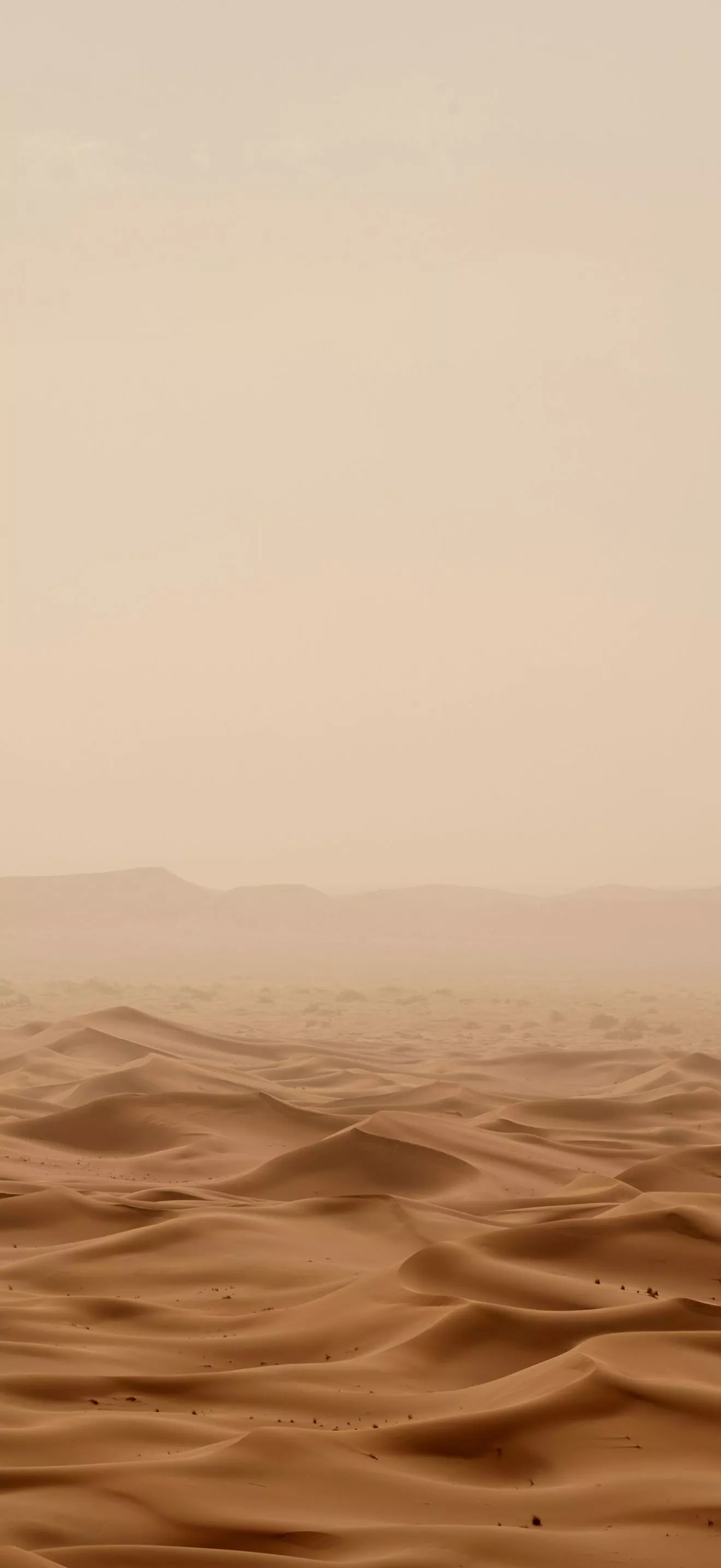 iPhone 16 Pro Desert Titanium desert