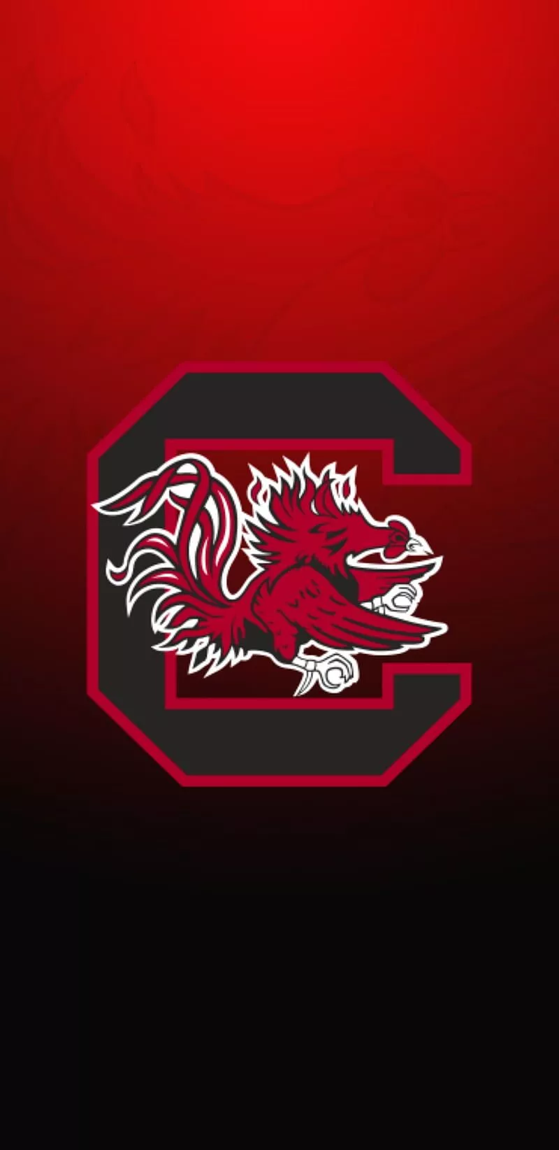 Carolina Gamecocks, sc, usc, HD phone