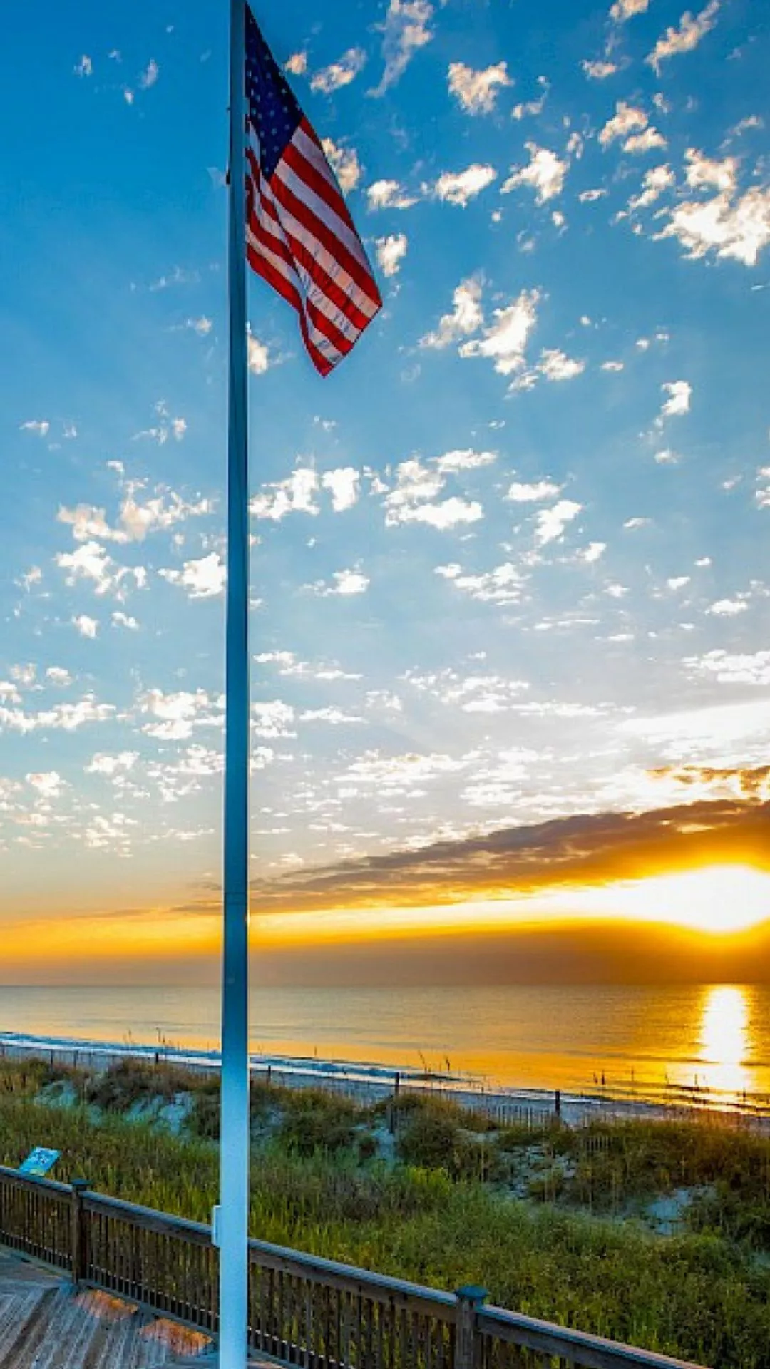 South Carolina Wallpaper