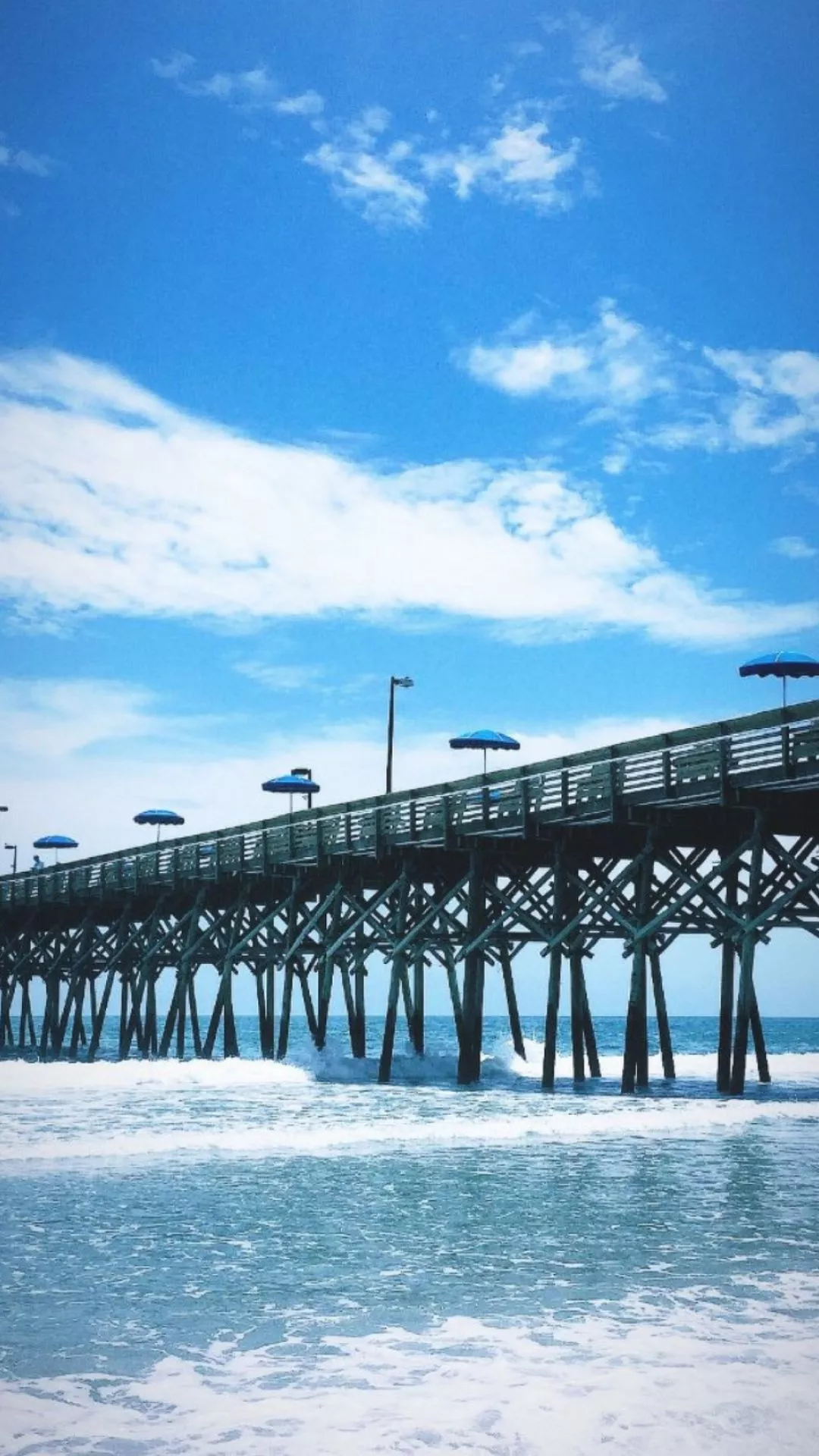 South Carolina Wallpaper