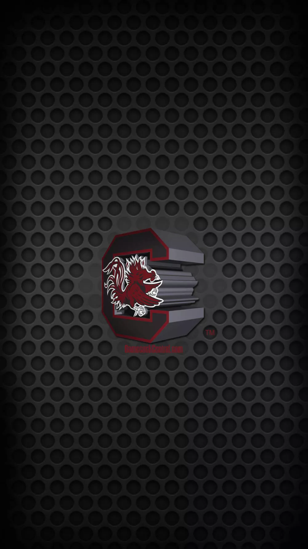 Download South Carolina Gamecocks ready