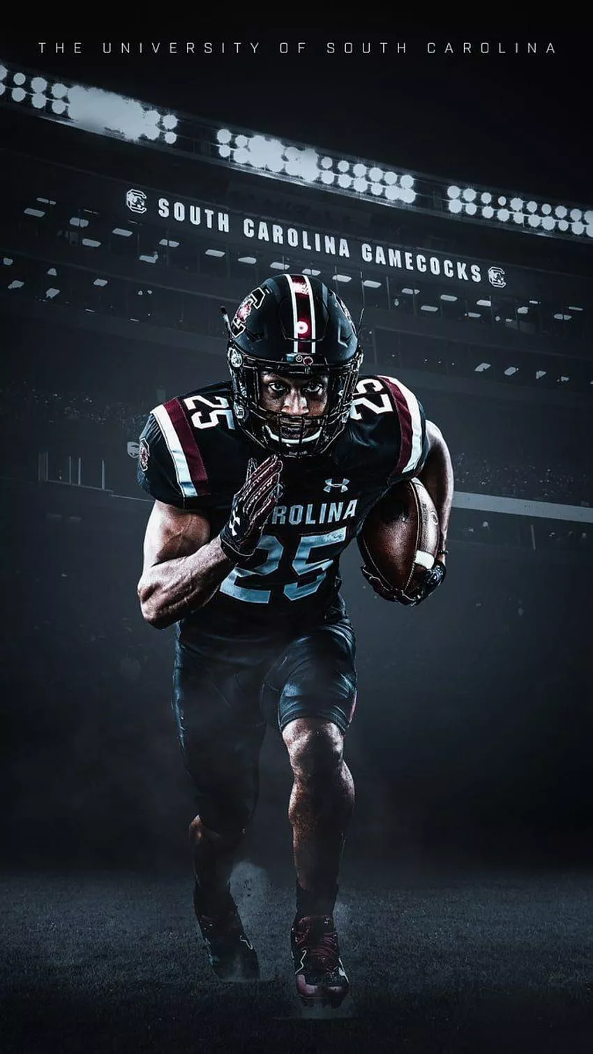 Carolina Gamecocks HD phone wallpaper