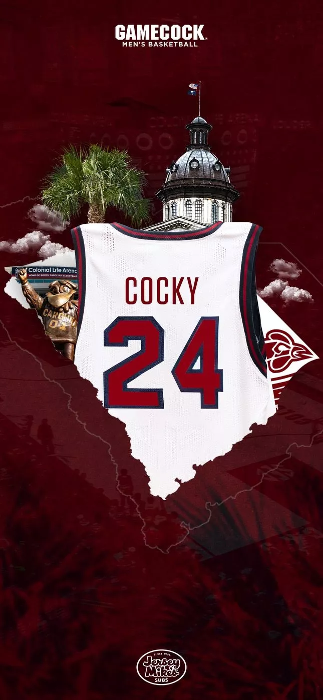 Gamecock Athletics a new