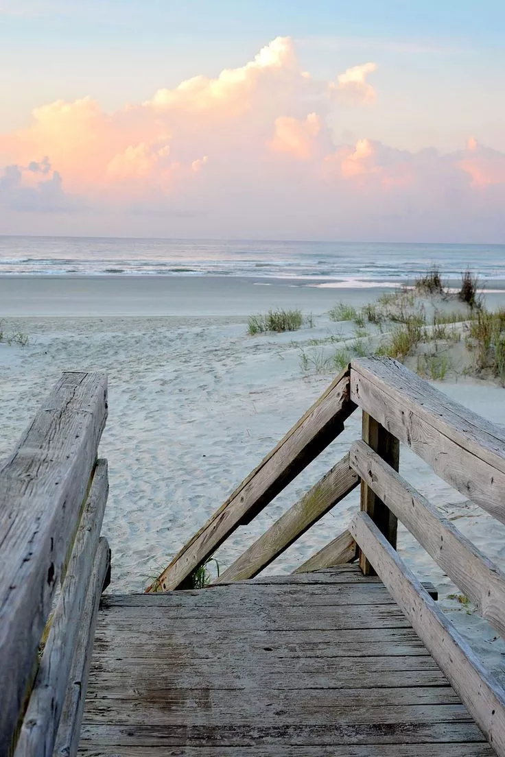 An entry from VICO MOVEMENT