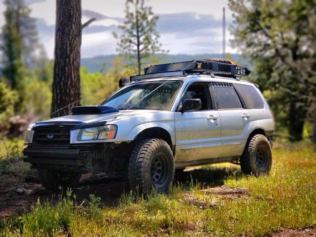 RENE R's 2004 Forester Limited xt