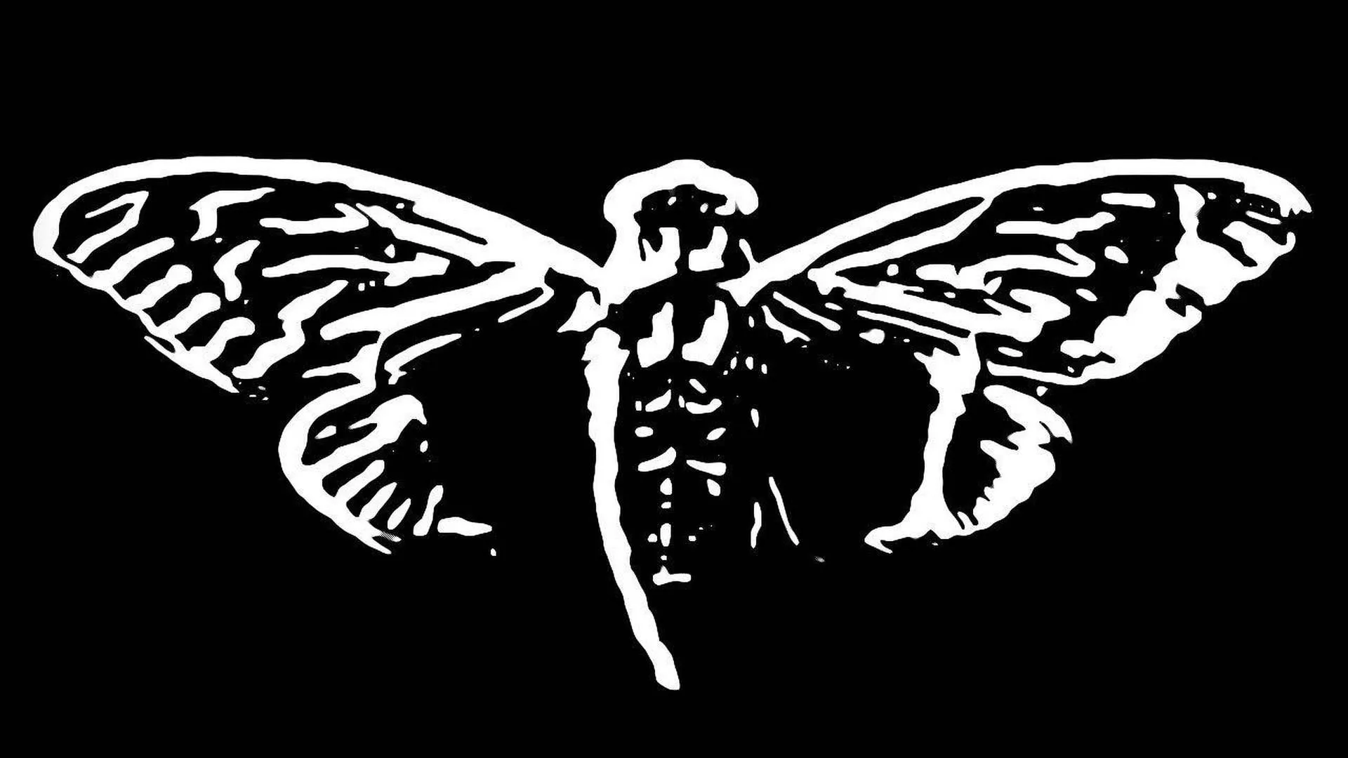 Cicada Background
