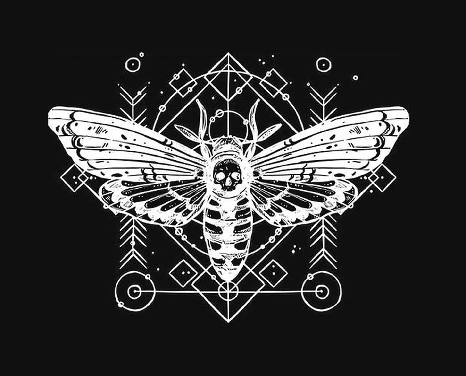 Cicada Background