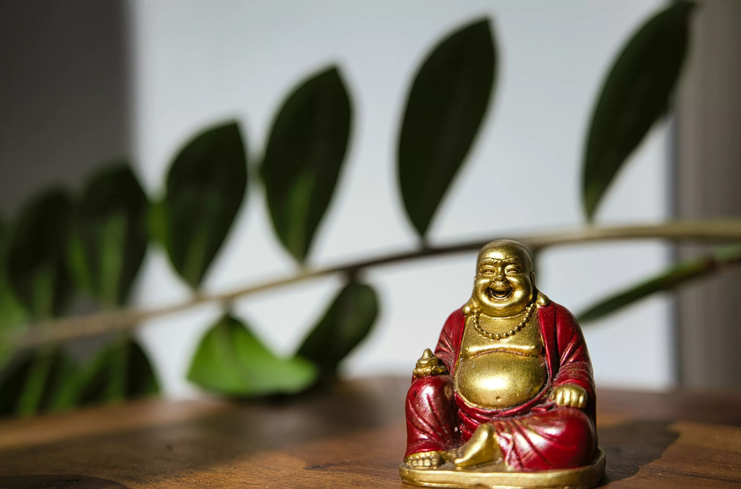 Laughing Buddha Picture