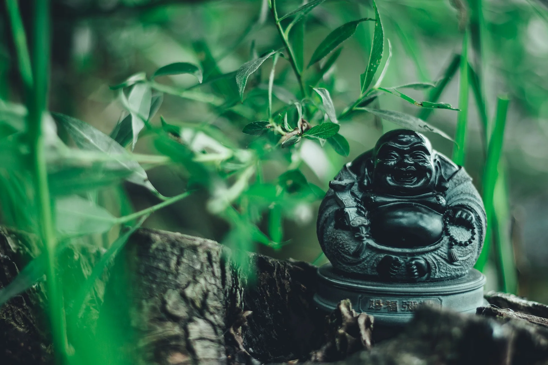 Can I Buy Laughing Buddha for Myself