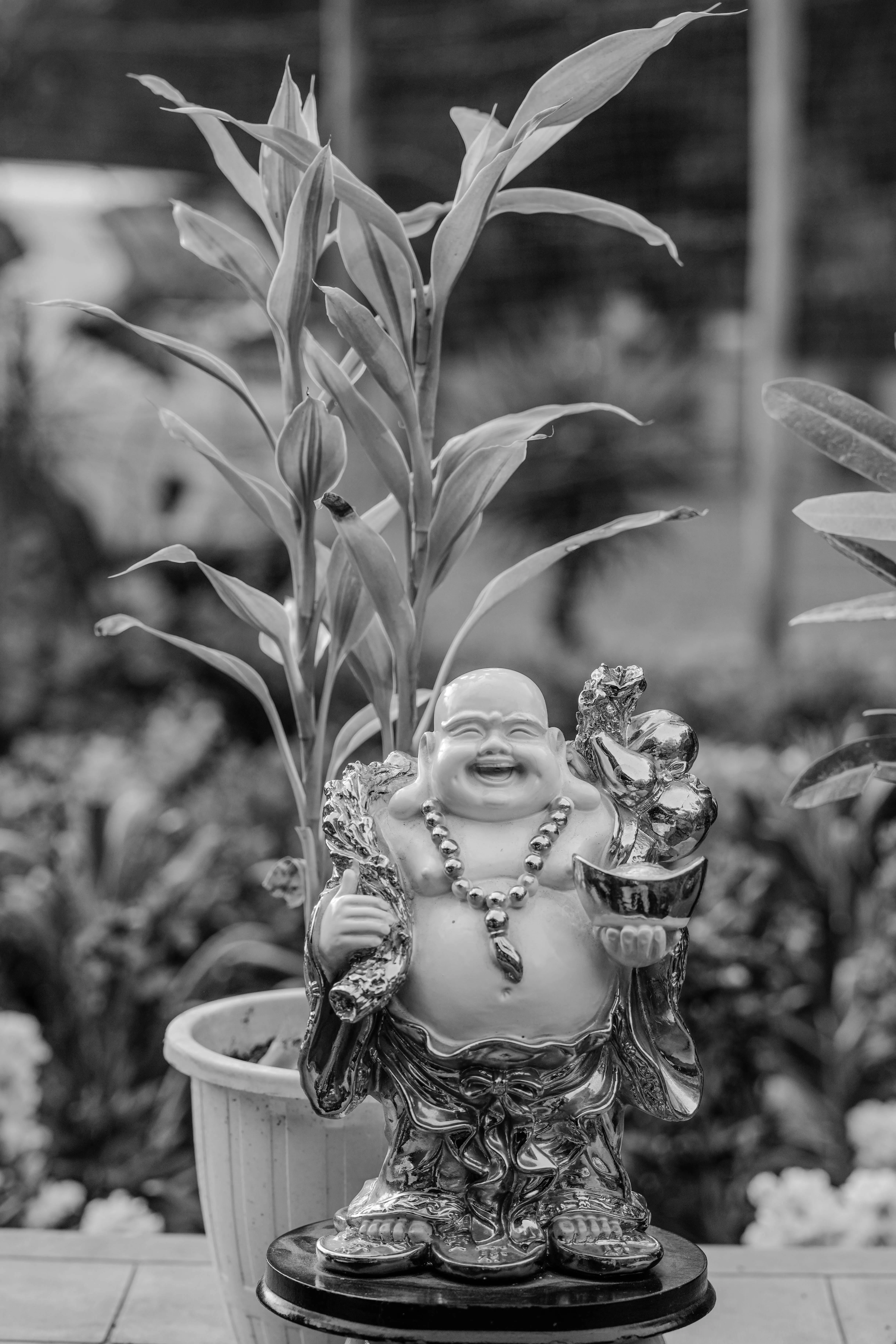 Black and White Laughing Buddha