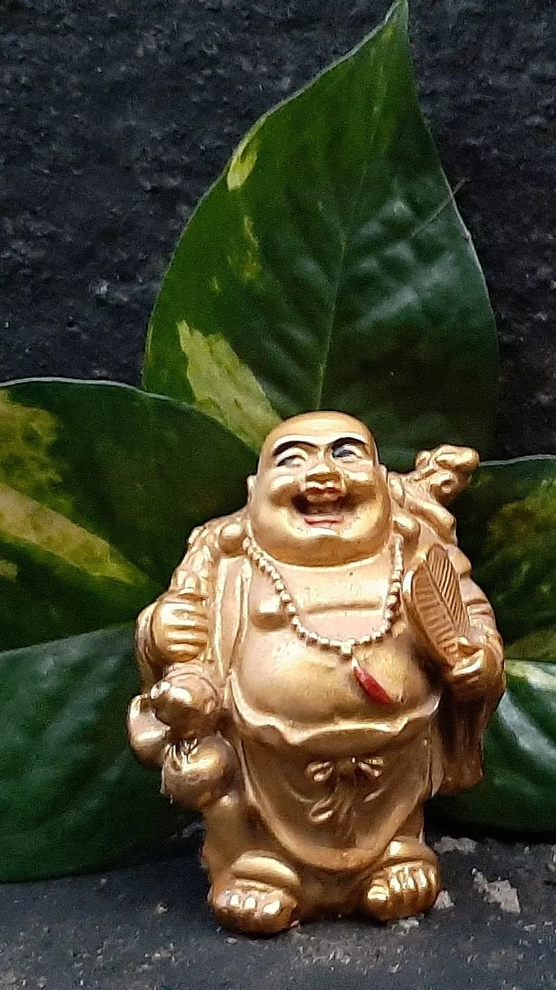 Laughing Buddha, Leaf, HD phone