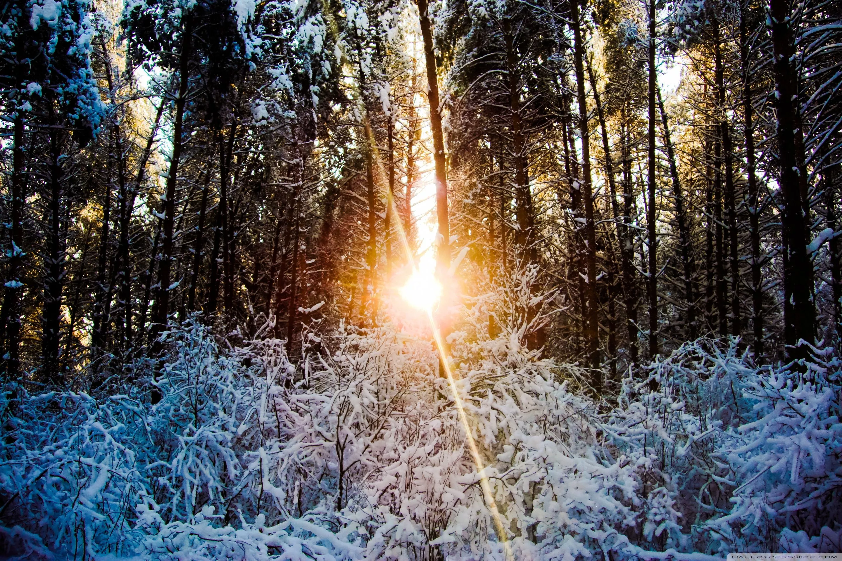 Ultra HD Wallpaper for 4K UHD TV