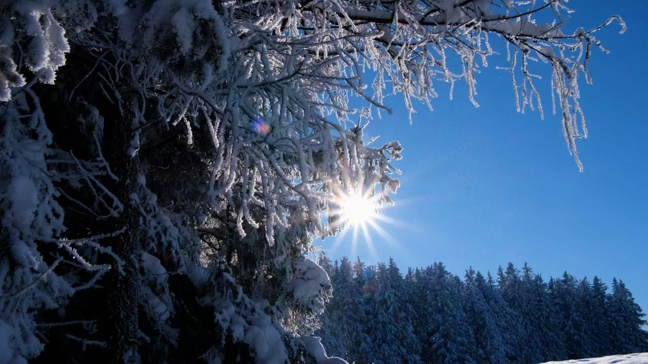 Winter, Snow, Sun. Free Stock Video