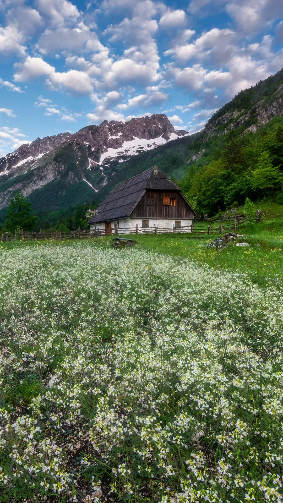 Mountain Flower Spring Meadow Cottage