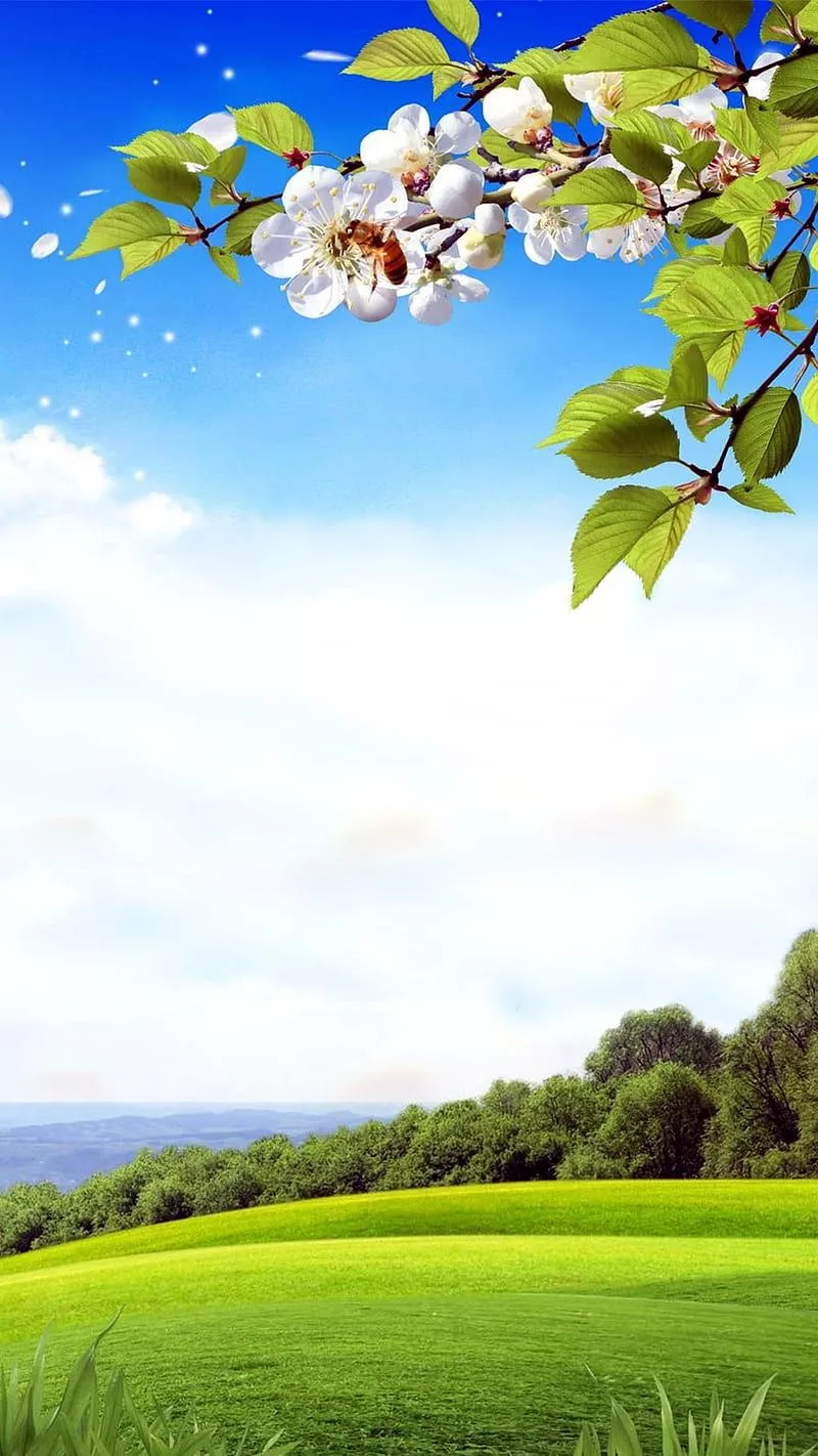 Meadow, landscape, prairie, HD phone