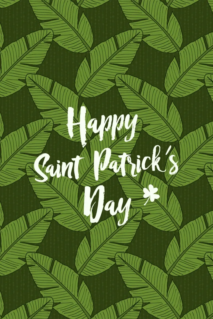 Day Collage Ideas That Sham Rock