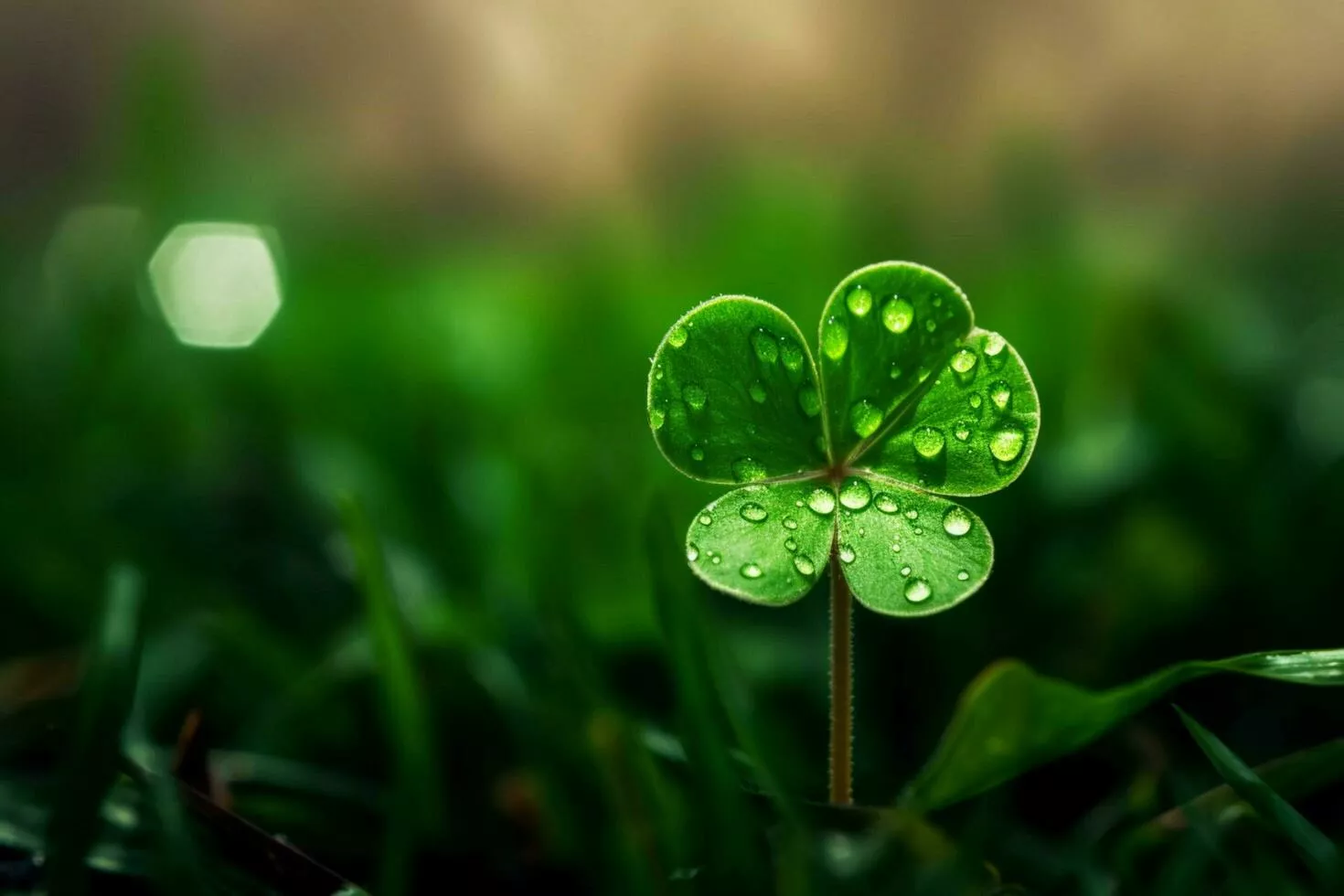St Patrick S Day Pc Wallpapers Wallpaper Cave