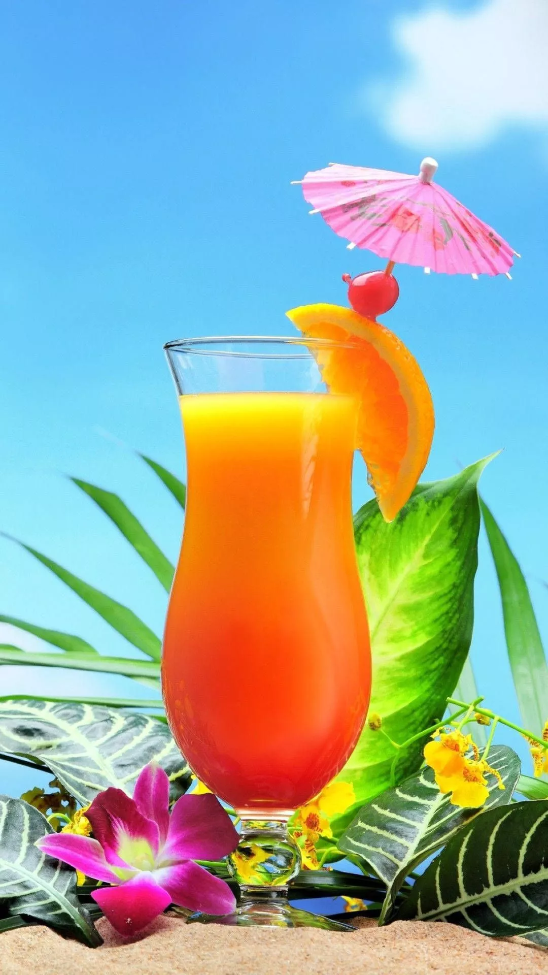 Tequila Sunrise Tropical Drink