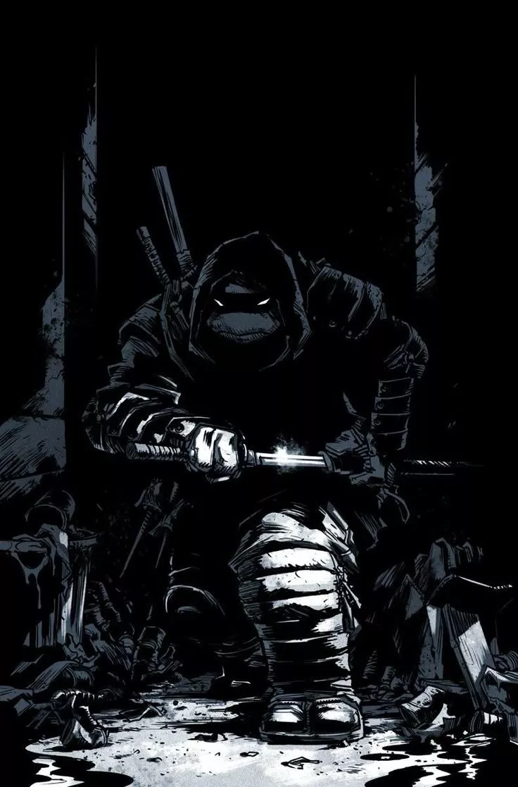 Ninja turtles artwork, Tmnt artwork