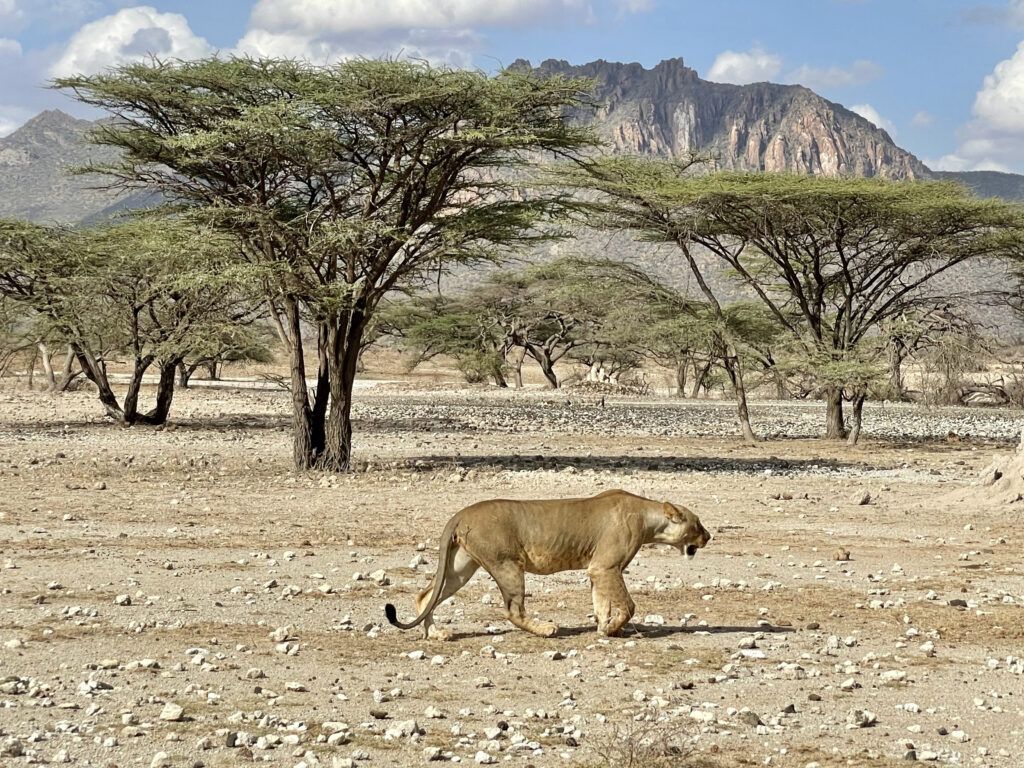 Keeping Hope Flowing in Samburu