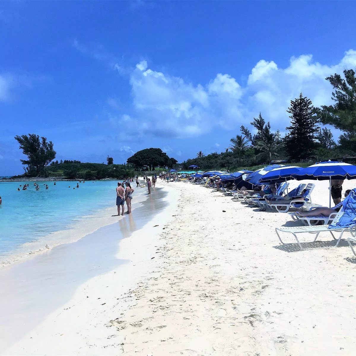 Clearwater Beach You Need