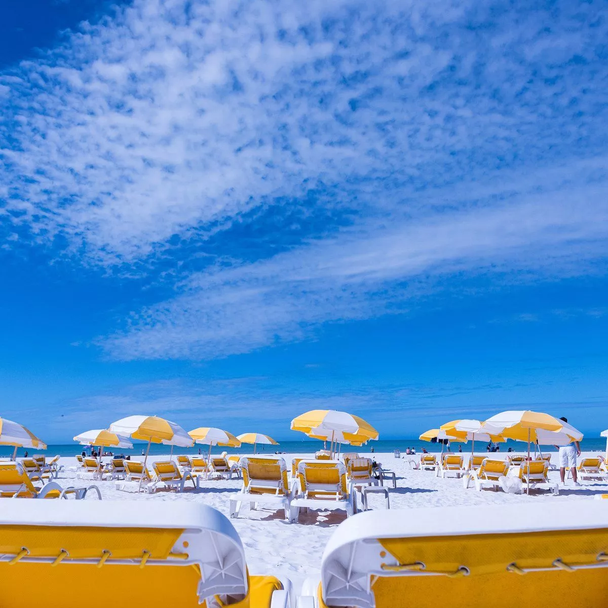 Clearwater Beach You Need