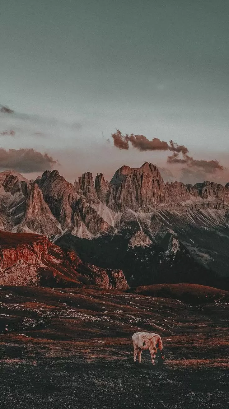 Wallpaper Lockscreen iPhone