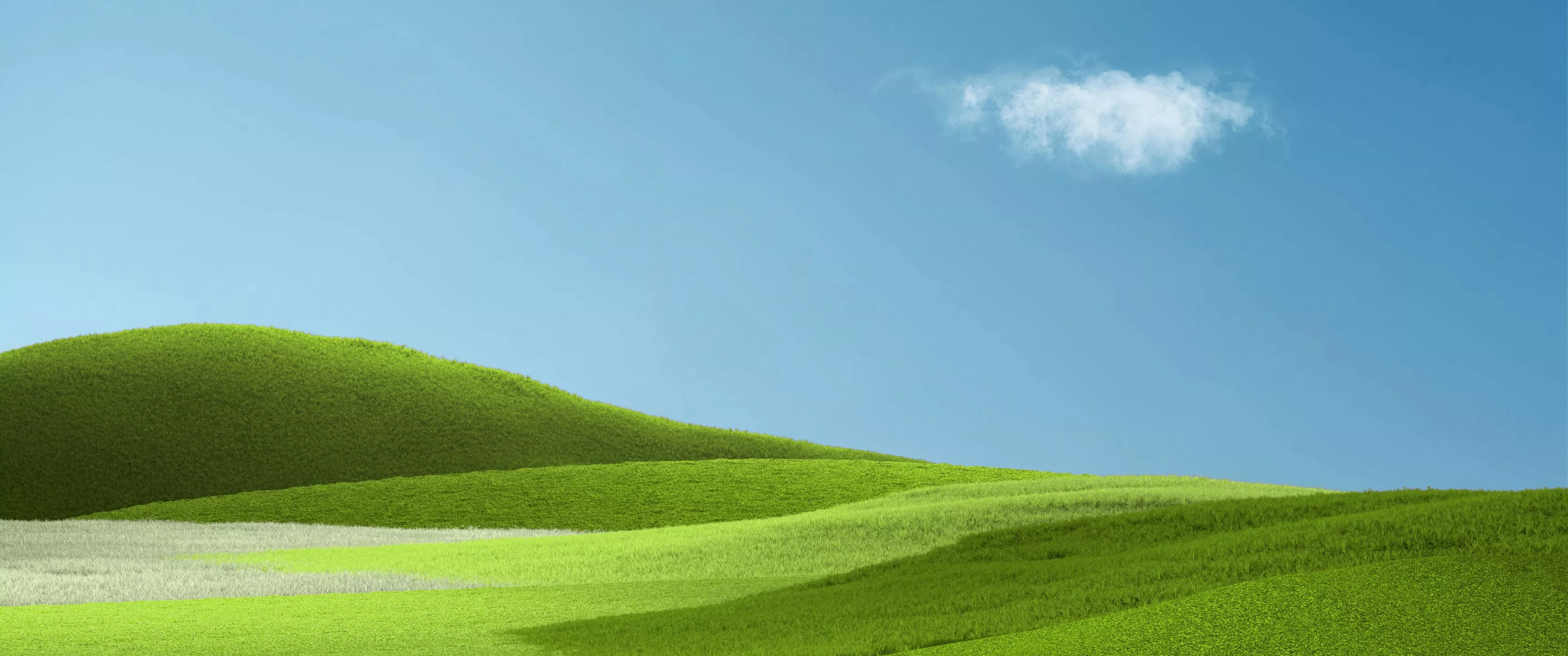 Grass and Sky Wallpaper