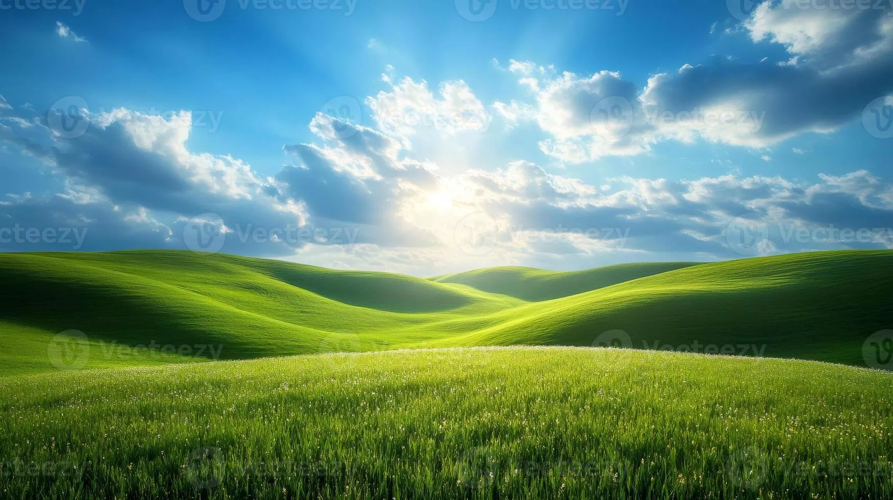 Sunny Green Field Image