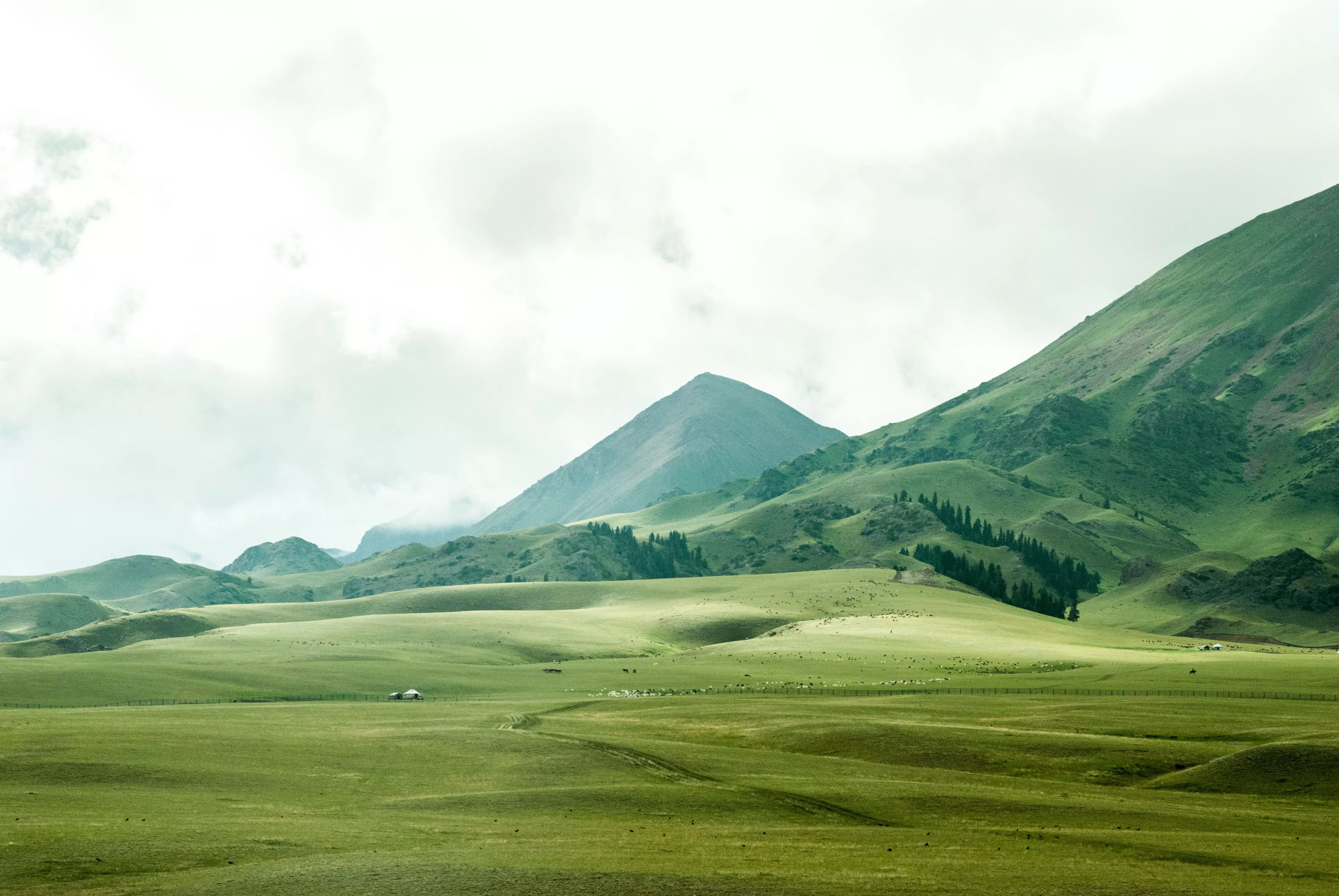 HD Desktop Background With grassy hills