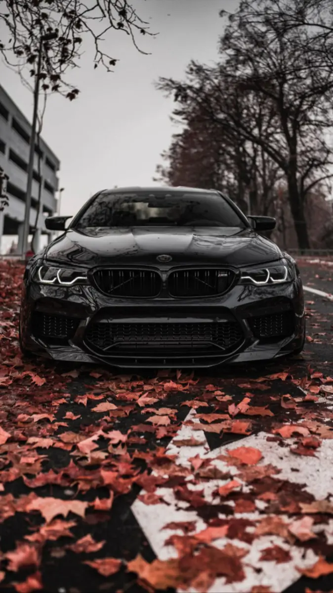Stealth BMW M5 wallpaper