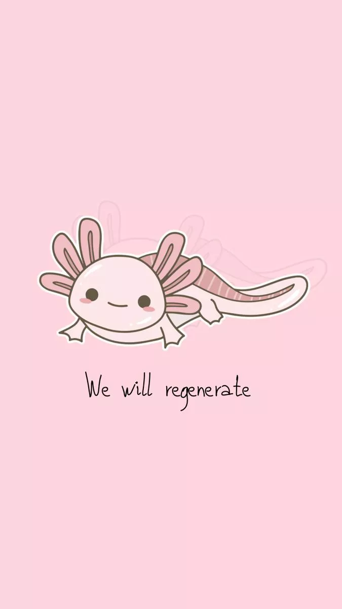 Fondo de pantalla de ajolote