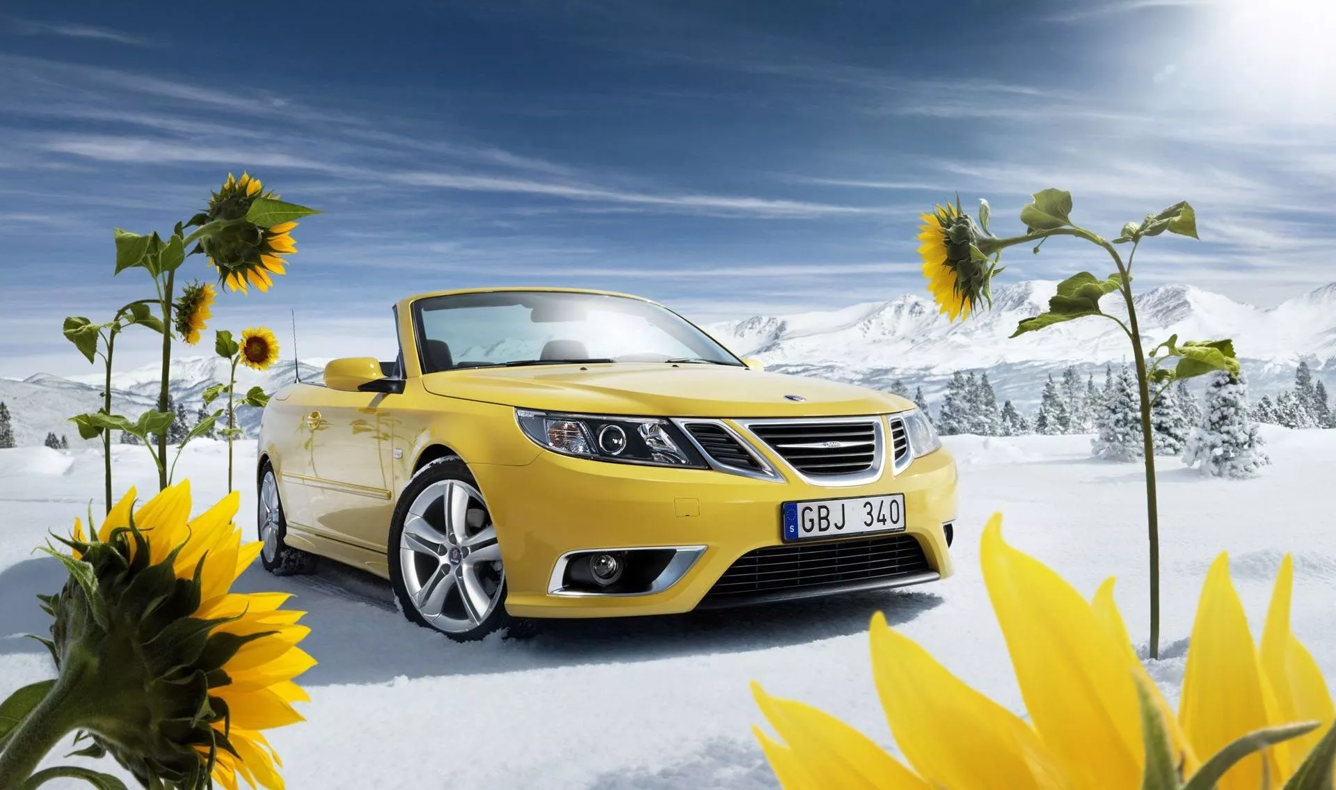 desktop wallpaper: Winter, Snow, Flower