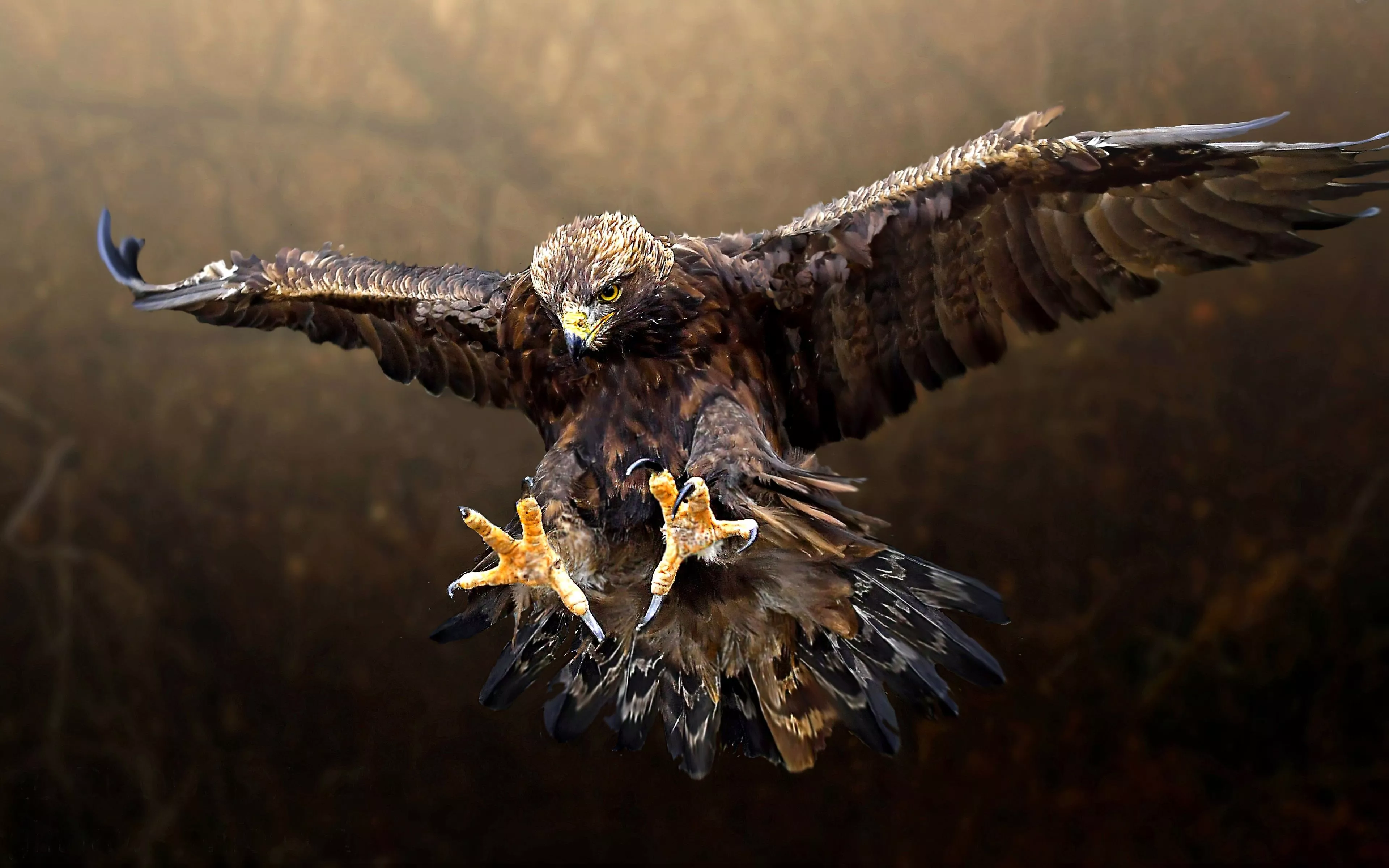 Flying Eagle Animal Golden Eagle