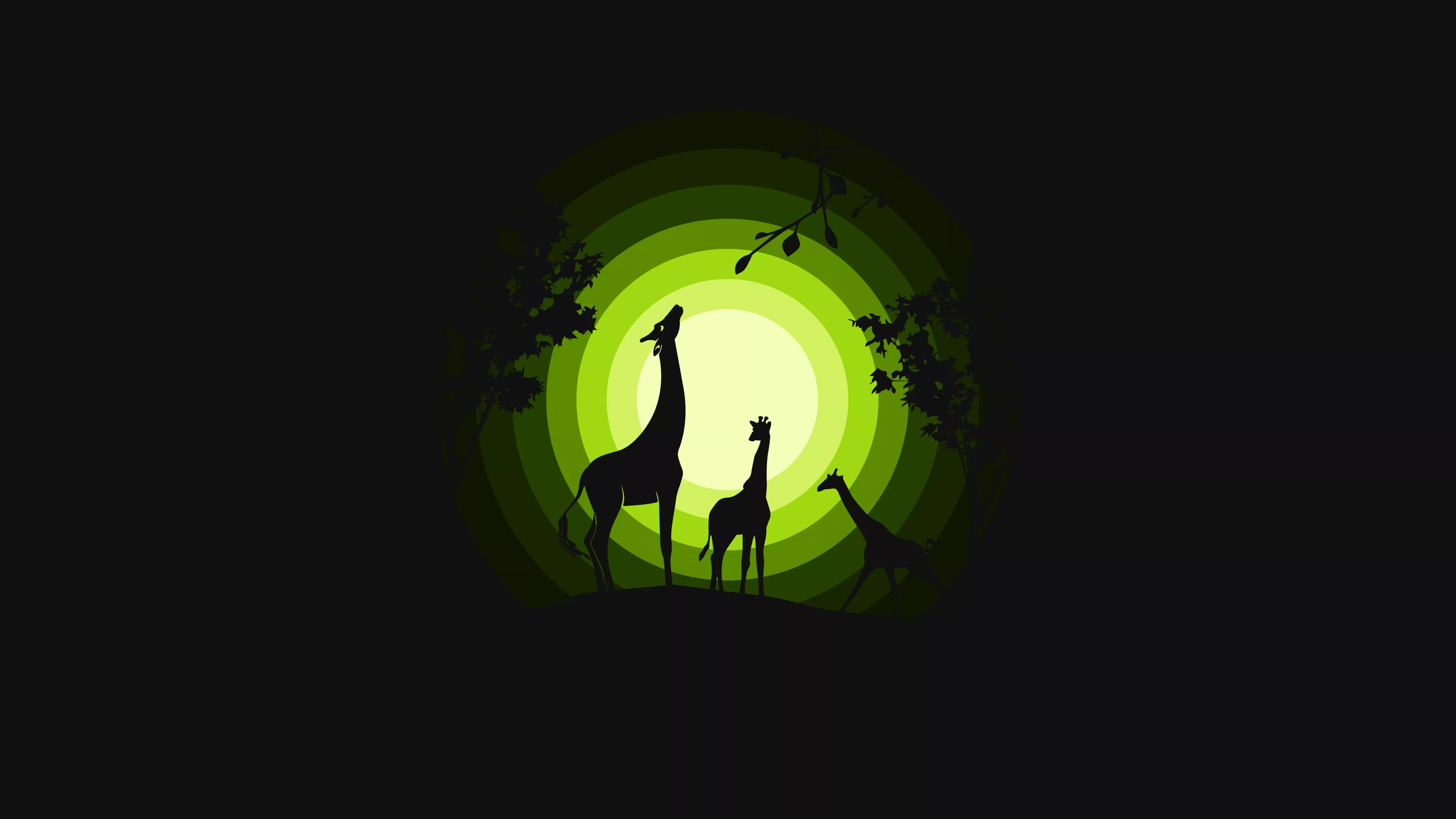 Giraffe Wallpaper 4K, cubs, Silhouette