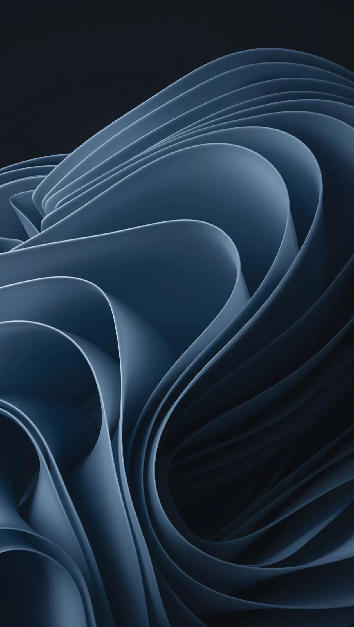 Abstract Grey Bloom 4K Wallpaper