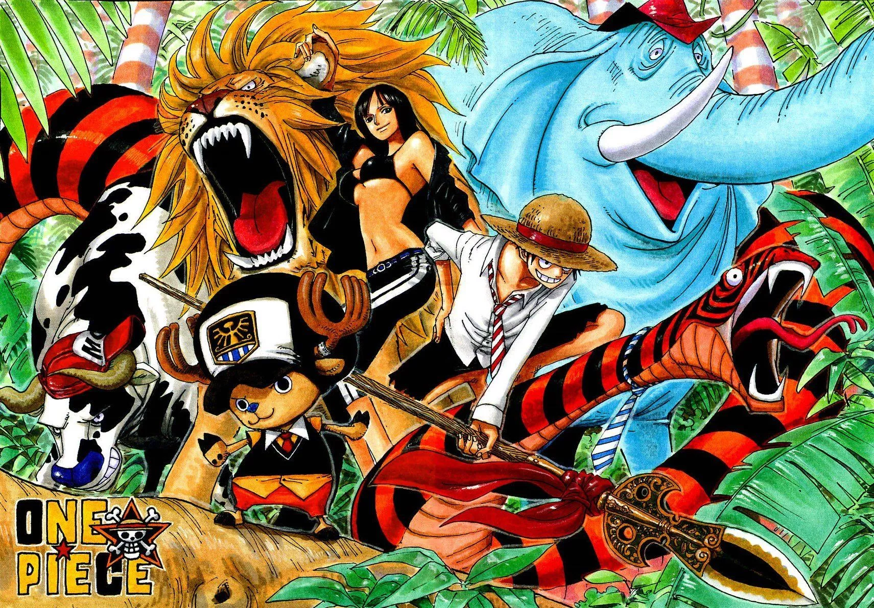 Vibrant One Piece HD Wallpaper