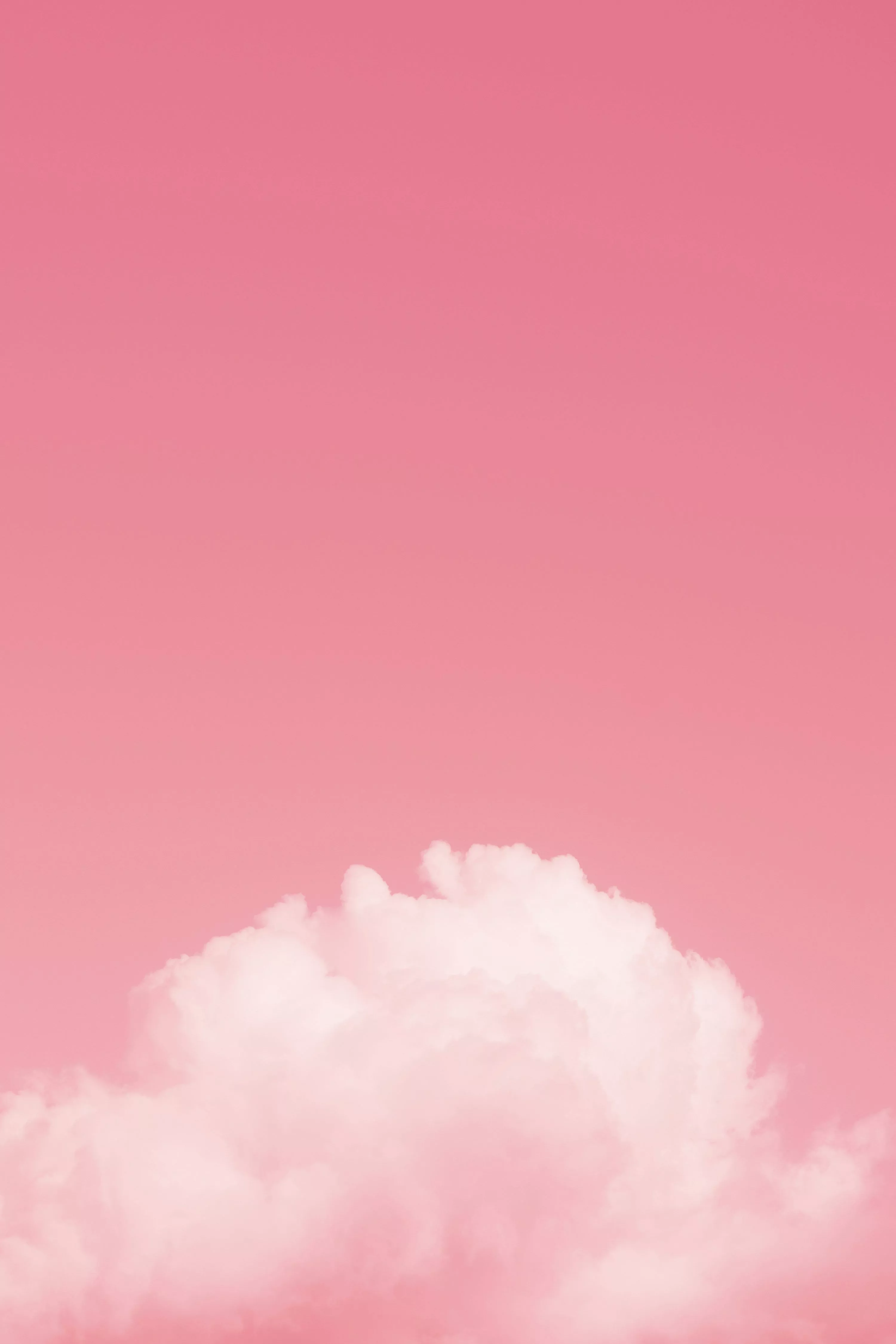 Pink Wallpaper: Free HD Download