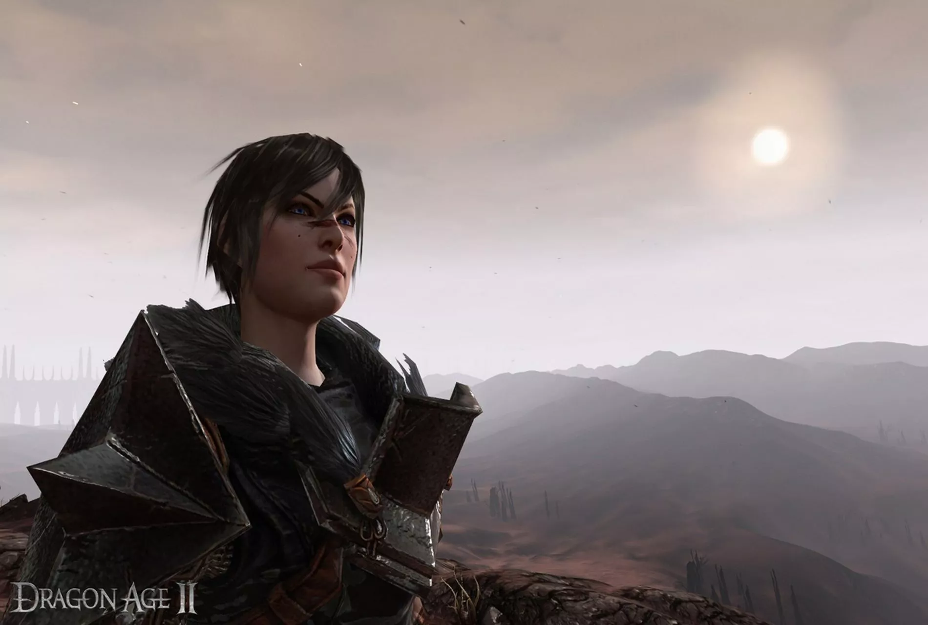 I am in love with Lady Hawke