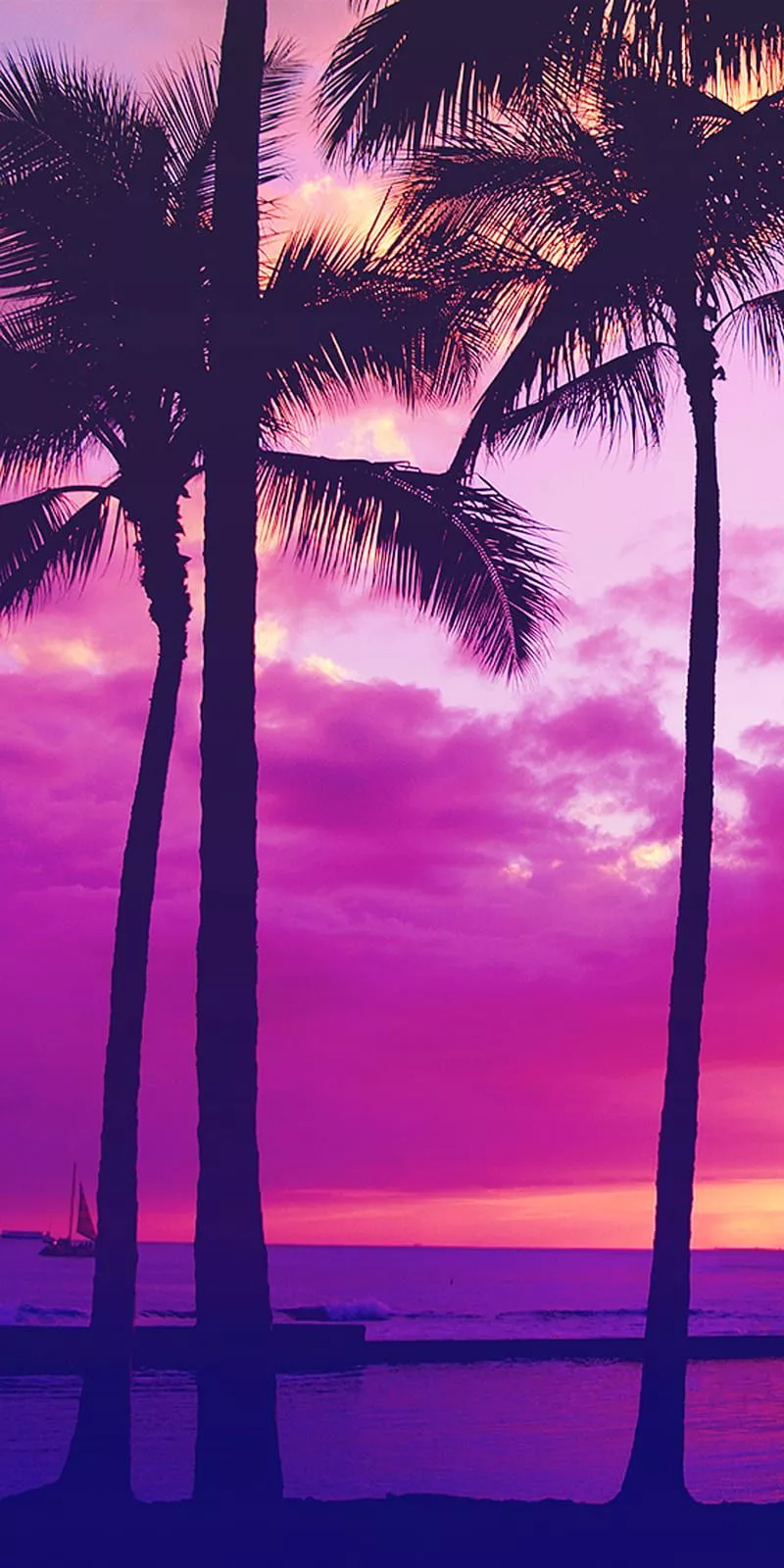 Palms, beach, palm, purple, sea, summer, sunset, tree, HD phone wallpaper
