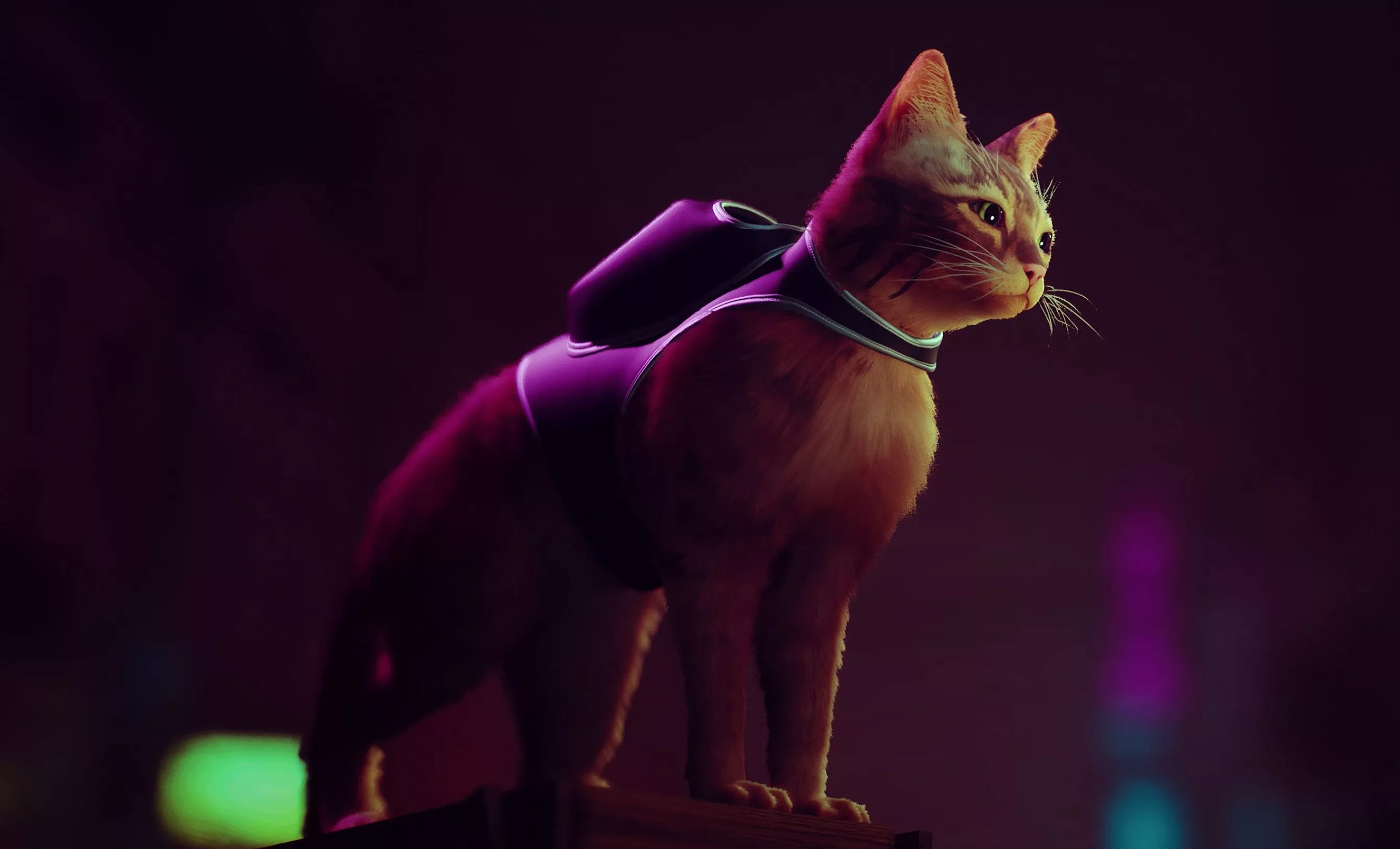 Stray Game Cat Wallpaper, HD Games 4K