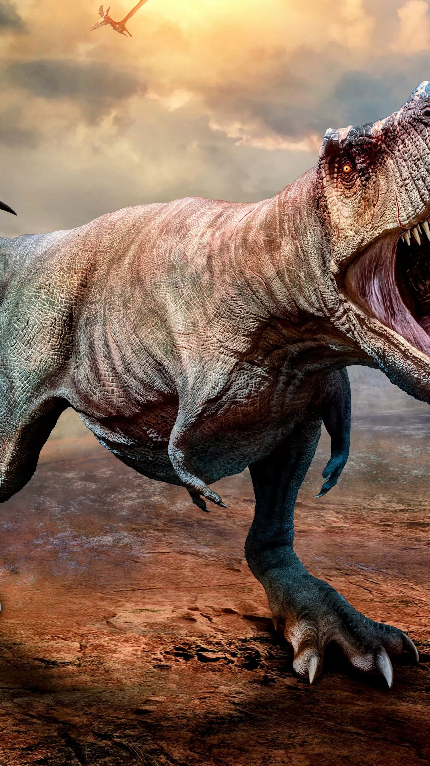 Tyrannosaurus Wallpaper 4K, Dinosaur, T