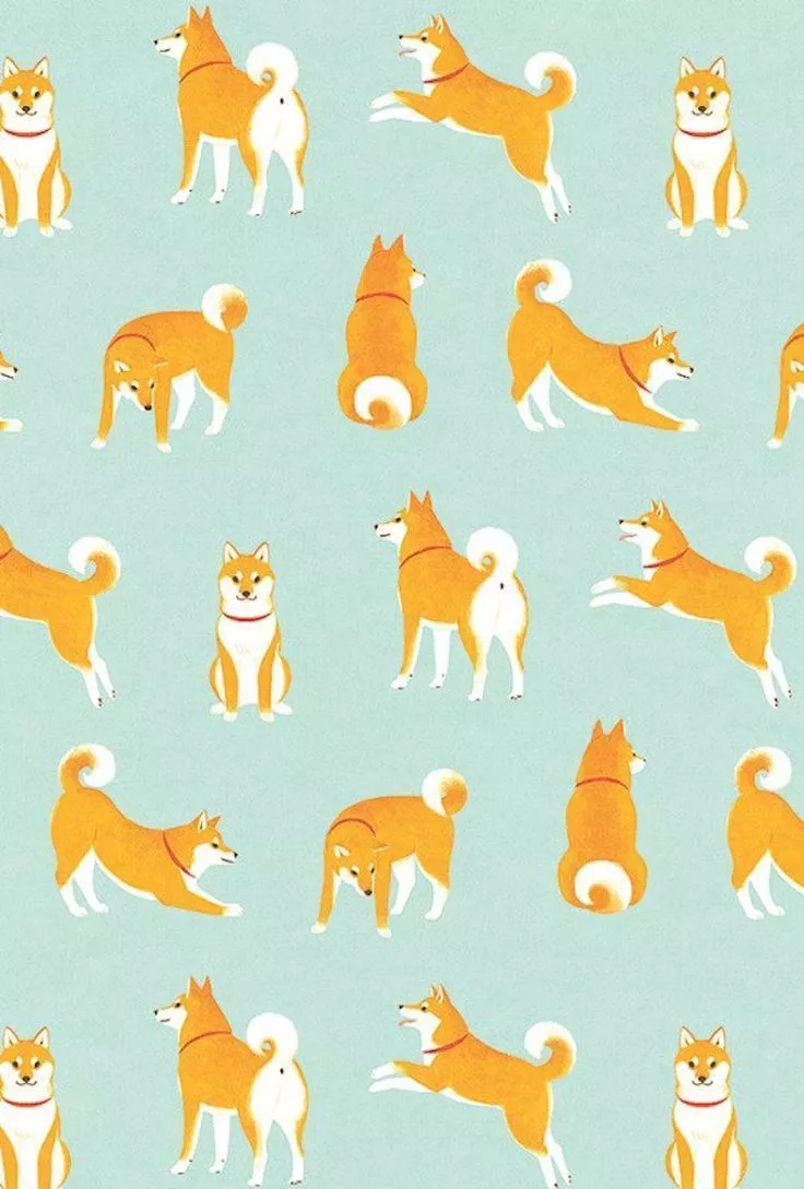 background 30 HQ Photo